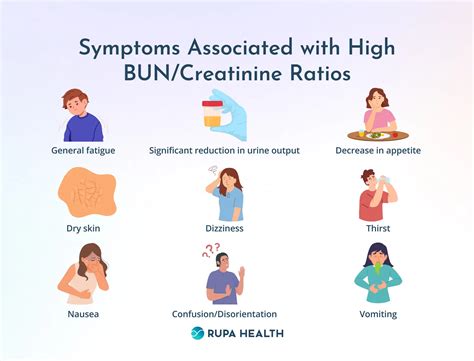 High BUN Creatinine Ratio: Causes, Symptoms, and Treatment