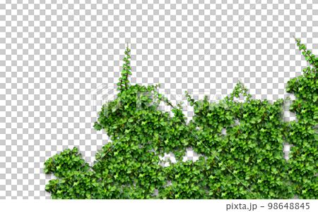 Image result for Visual Code Lua Icon