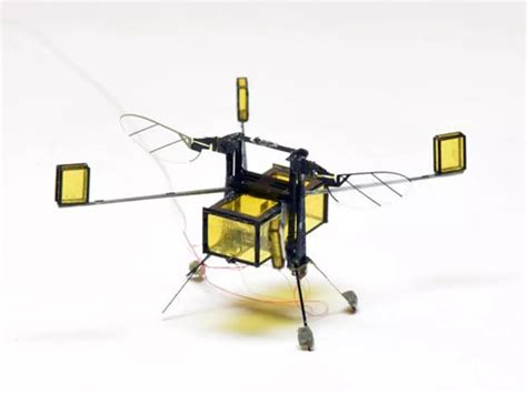 Meet RoboBee: A Tiny Drone That Can Fly, Scuba Dive And Even Explode!