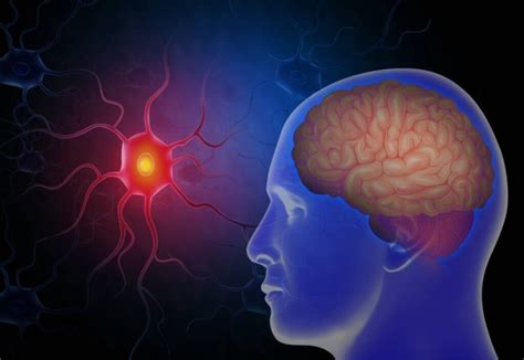 “人类的大脑”相当于多少个G的内存？或低估自己的大脑储存能力_腾讯新闻