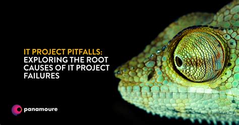 Project Computer Feil 的图像结果