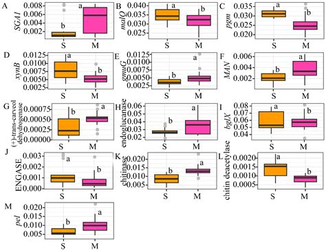 The Impact of Artificial Afforestation on the Soil Microbial Community ...