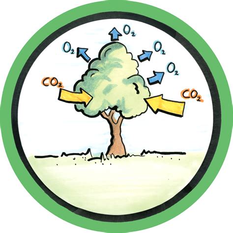 Regulating carbon capture and storage