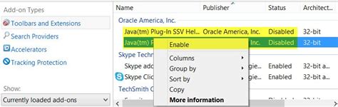 Java Plugin for Internet Explorer 的图像结果