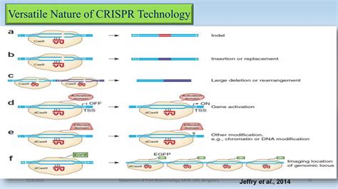 Image result for CRISPR Tutorial