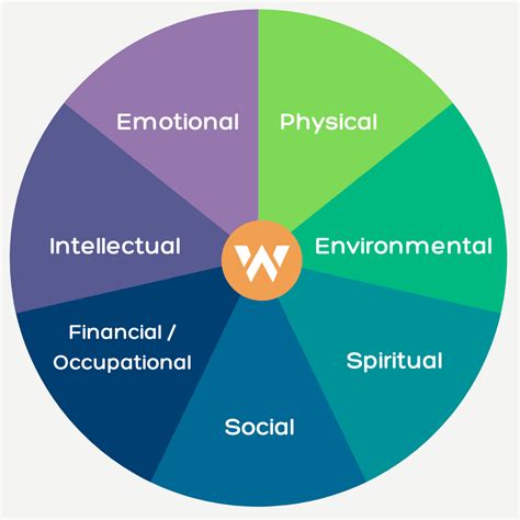 What Is The Wellness Wheel? Here’s How It Can Help You Lead A Plentiful ...