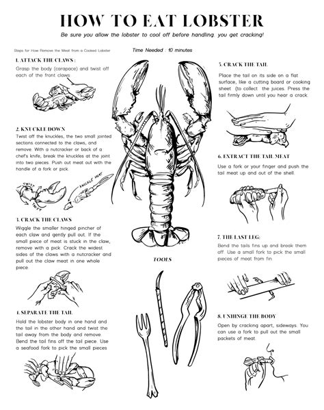 How To Eat Lobster (Beginner Friendly Guide)