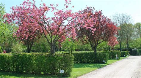 CAMPING MUNICIPAL LE CLOS NORMAND (Sees) - Campground Reviews & Photos ...