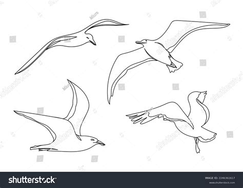 Flying Bird Illustration