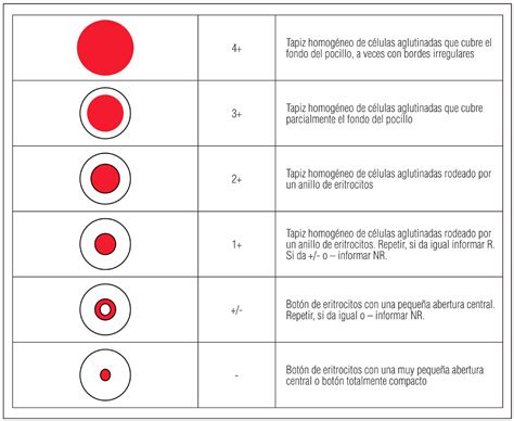 Inmunoanálisis quimioluminiscente de micropartículas (CMIA) en el ...