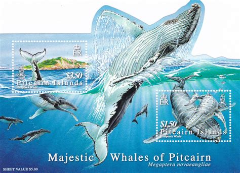 Pitcairn Island odd shaped miniature sheet on Majestic Whales – Bharat ...