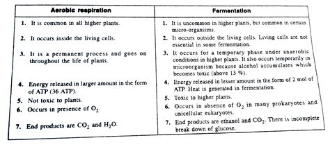 Differentiate between (c) Aerobic respiration and Fermentation.