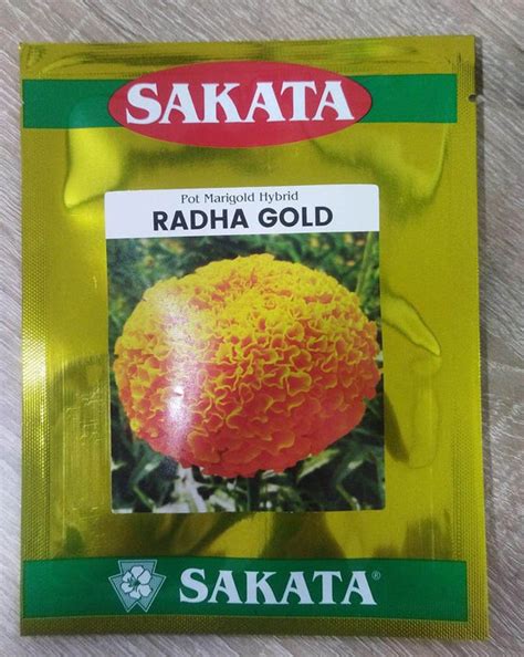 Radha/Ica F1 Hybrid Marigold Seeds – Sakata | Dwarf, Double Blooms ...