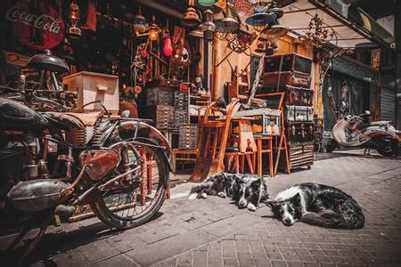 TSN 1050 Listen Live - 1050 kHz AM, Toronto, Canada | Online Radio Box