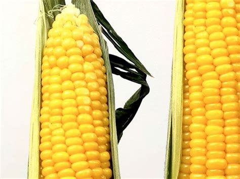 Fresh Local Produce 的图像结果