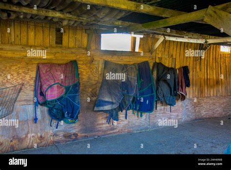 Stable 的图像结果