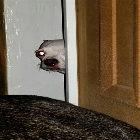 Image result for Falling Faster Lyrics