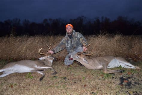 The Wild Life: The Vagaries of Luck while Deer Hunting in North Carolina
