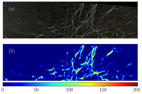 Image result for Image Processing Details with Example