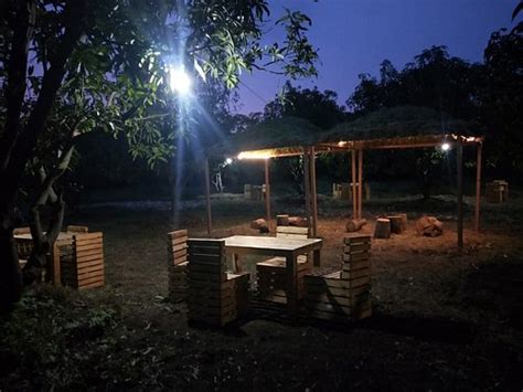 VINYASA TREELAND SAPHALE - Hotel Reviews & Photos - Tripadvisor