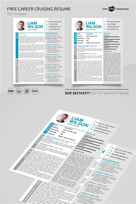 Free Career Cruising Resume Template in PSD