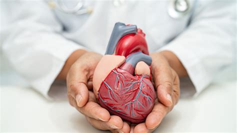 4 everyday habits that help prevent heart attacks