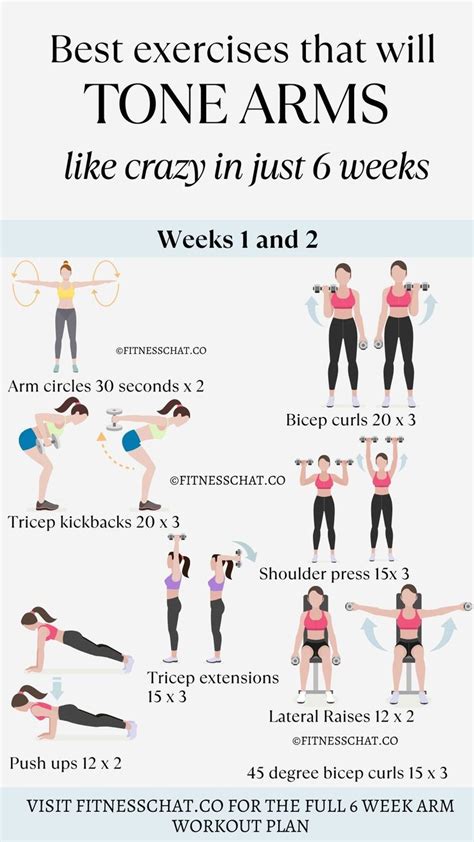 Image result for Arm Tone Exercise
