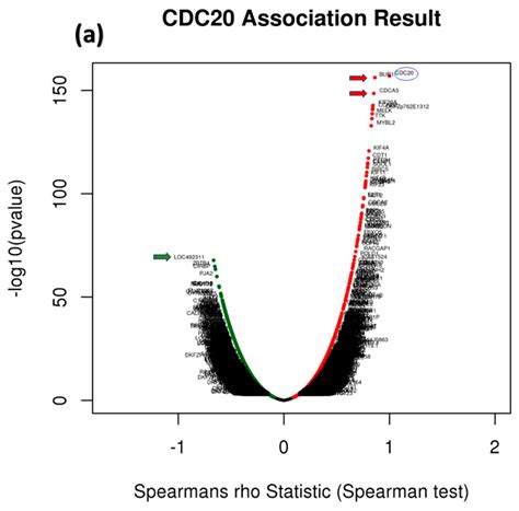 Prognostic and Therapeutic Implications of Cell Division Cycle 20 ...
