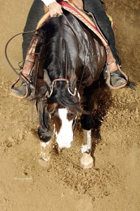 Image result for Reining Tutorials