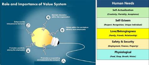 Value System 的图像结果