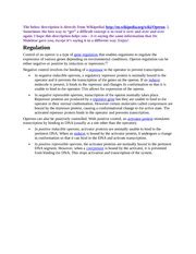 Image result for Negative and Positive Operons