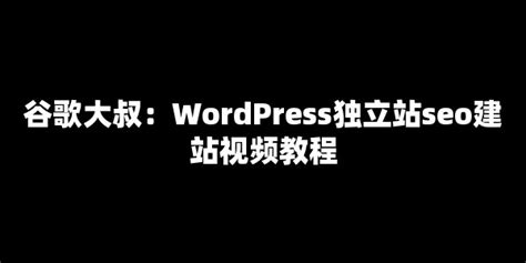 谷歌大叔：WordPress独立站seo建站视频教程__【七赚网】