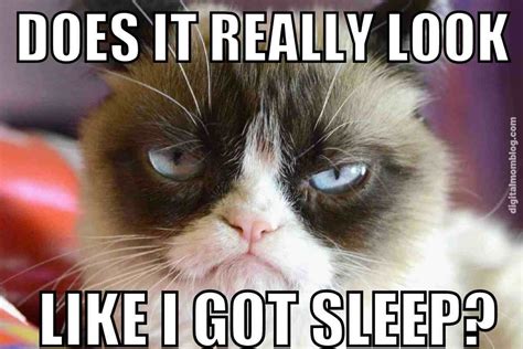 Image result for Programmer Problem No Sleep Meme