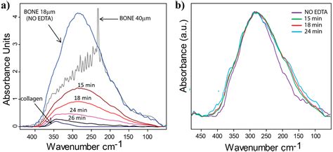 Anisotropy in Bone Demineralization Revealed by Polarized Far-IR ...