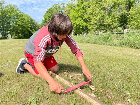 Manoomin Harvest: Bawaaiganaakoon (cedar knocking sticks) and ...