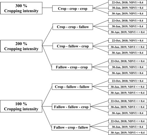 Image result for Rule-Based Classification