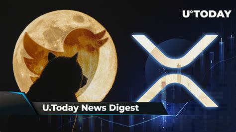 Dogecoin up as Doge Replaces Twitter’s Bird Logo, Bybit Lists BabyDoge ...