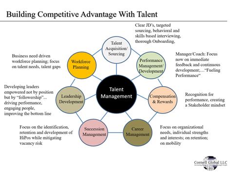 Image result for Talent Management Strategy Examples