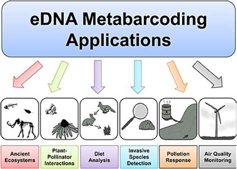 Image result for Microbial Barcoding