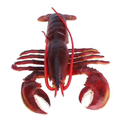 Buy Lobster Toy, Simulation Lobster, Lifelike In Color And(Dark ...