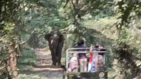 Singer Manomay Bhattacharya narrowly Escape Elephant Attack On Buxa ...