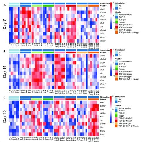 Image result for Gene Expression Map