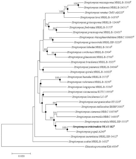 Taxonomic Characterization, and Secondary Metabolite Analysis of ...