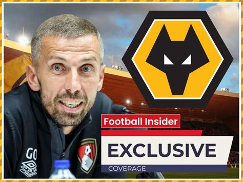 Image result for Wolves Forwards