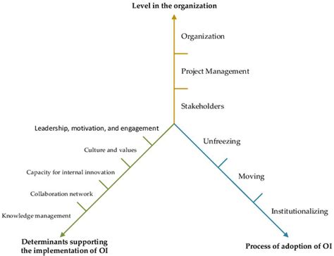 Enablers of Open Innovation in Software Development Micro-Organization