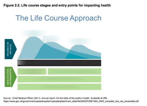 Who Life Course Approach 的图像结果