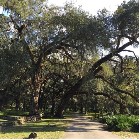 Dade Battlefield Historic State Park, Bushnell - Tripadvisor