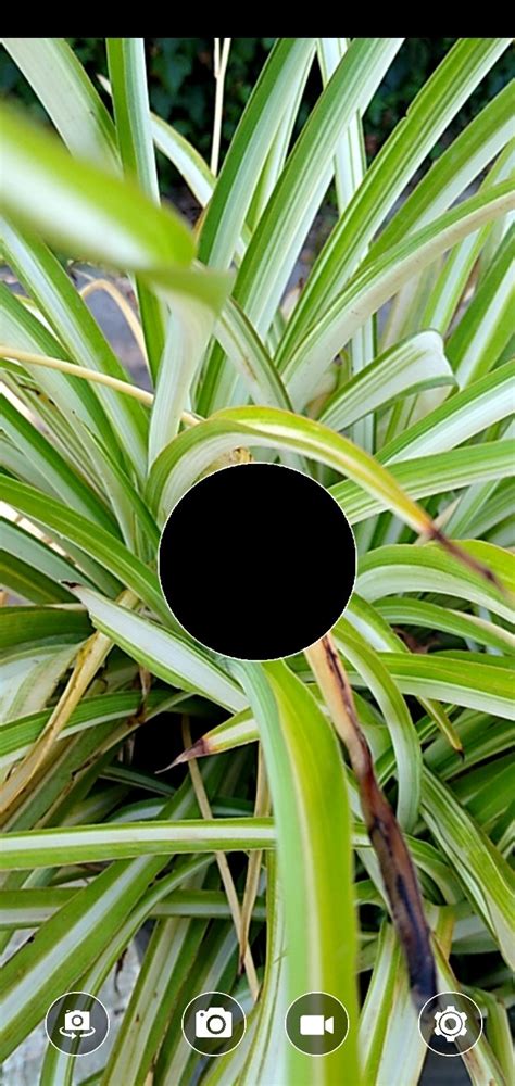 Double Side Camera APK Download for Android Free