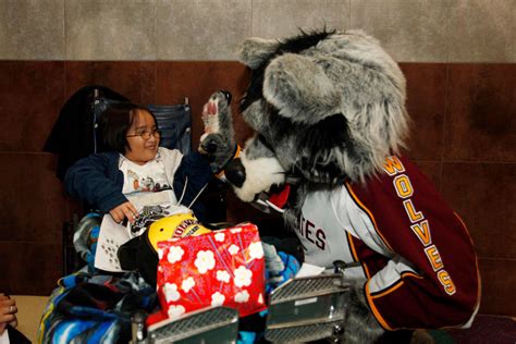 Image result for Chicago Wolves Logo