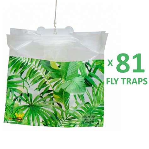 Fly Trap - Play it Safe